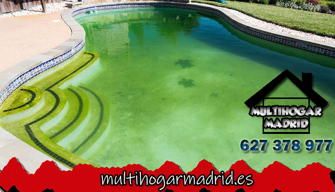 Tratamiento contra las algas en piscinas